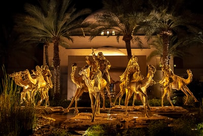 夜间骑骆驼的妇女